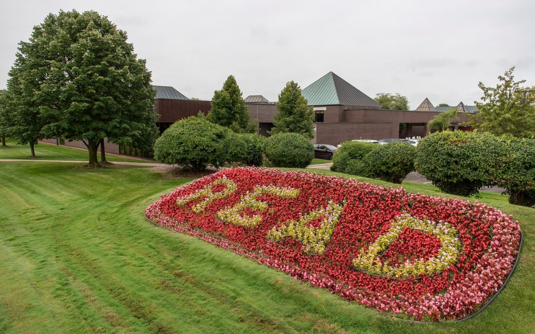 Celebrating Parks and Recreation: Where Community Grows in Canton