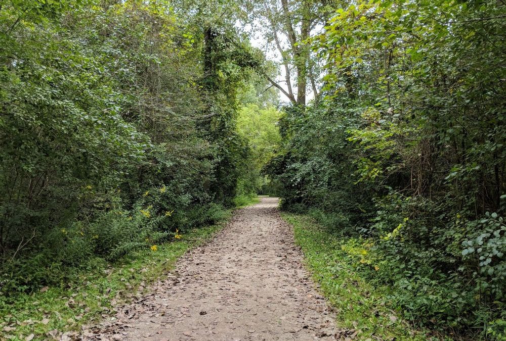 Exploring the Great Outdoors: An Adventure Through Morton-Taylor Trailhead in Canton