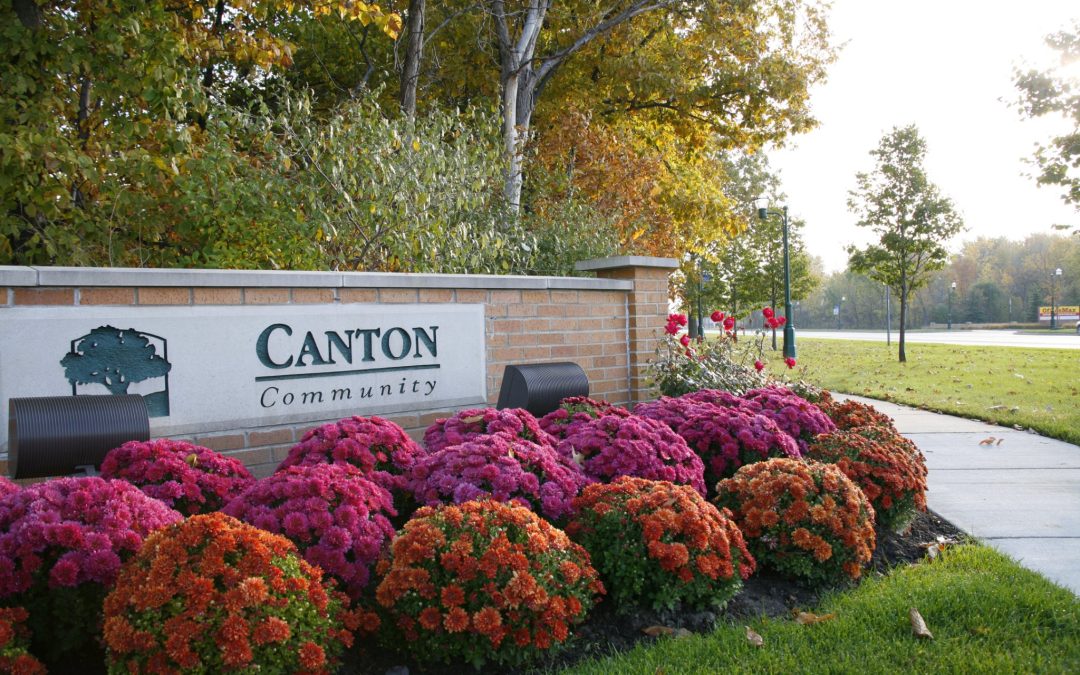 Uover the Excitement: 7 Delightful Activities Around Canton, MI