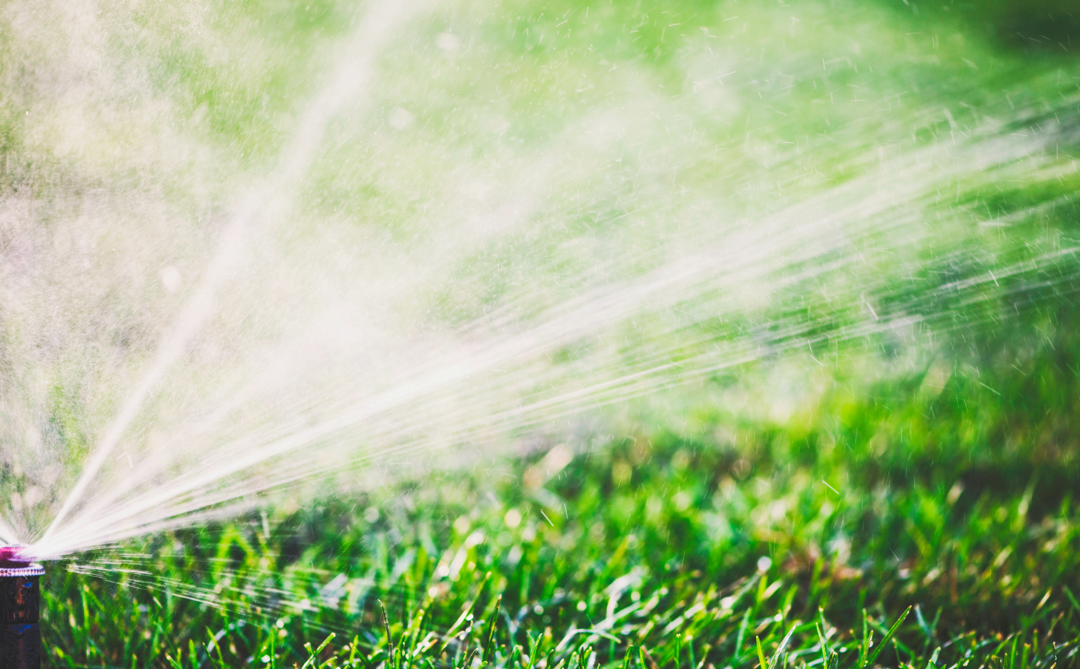 Colony Irrigation: Your trusted partner for comprehensive landscaping and irrigation solutions in Canton, MI.