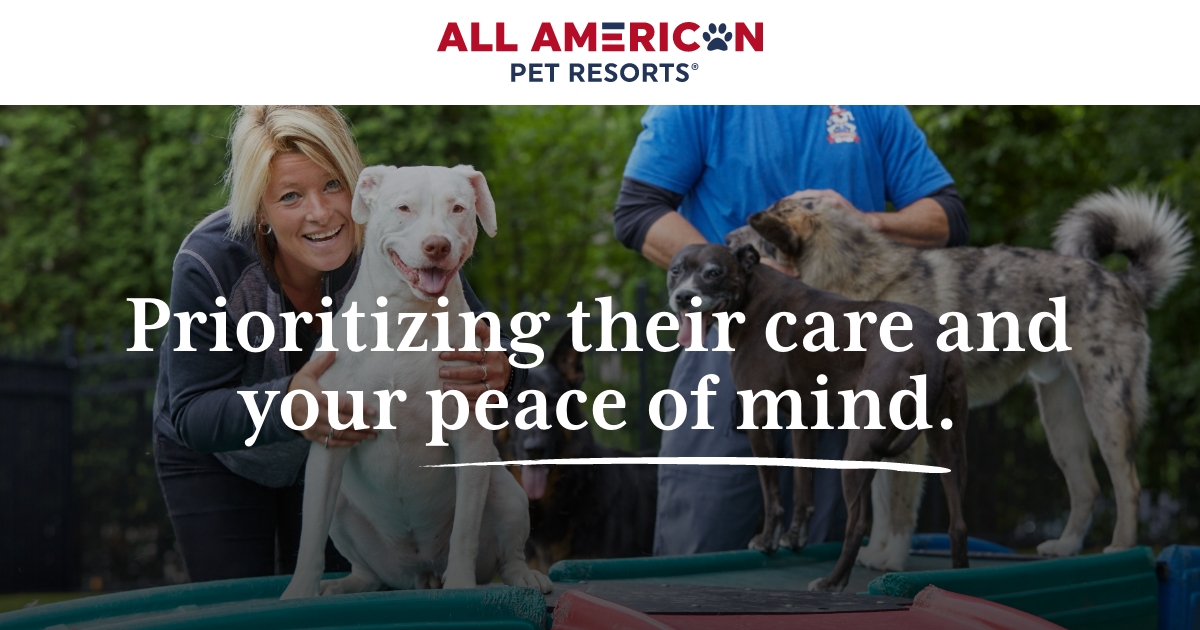 Welcome to All American Pet Resorts Canton, where your dog’s happiness and care are our top priority.