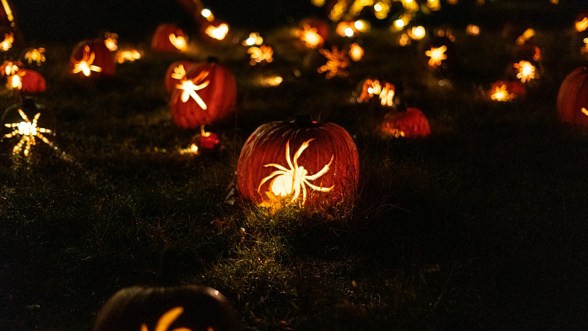 Halloween Party Events & Activities in Canton, MI