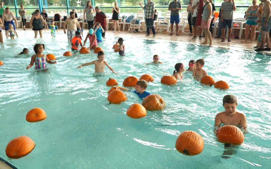 Swim and Pick: Canton’s Underwater Pumpkin Patch 2024