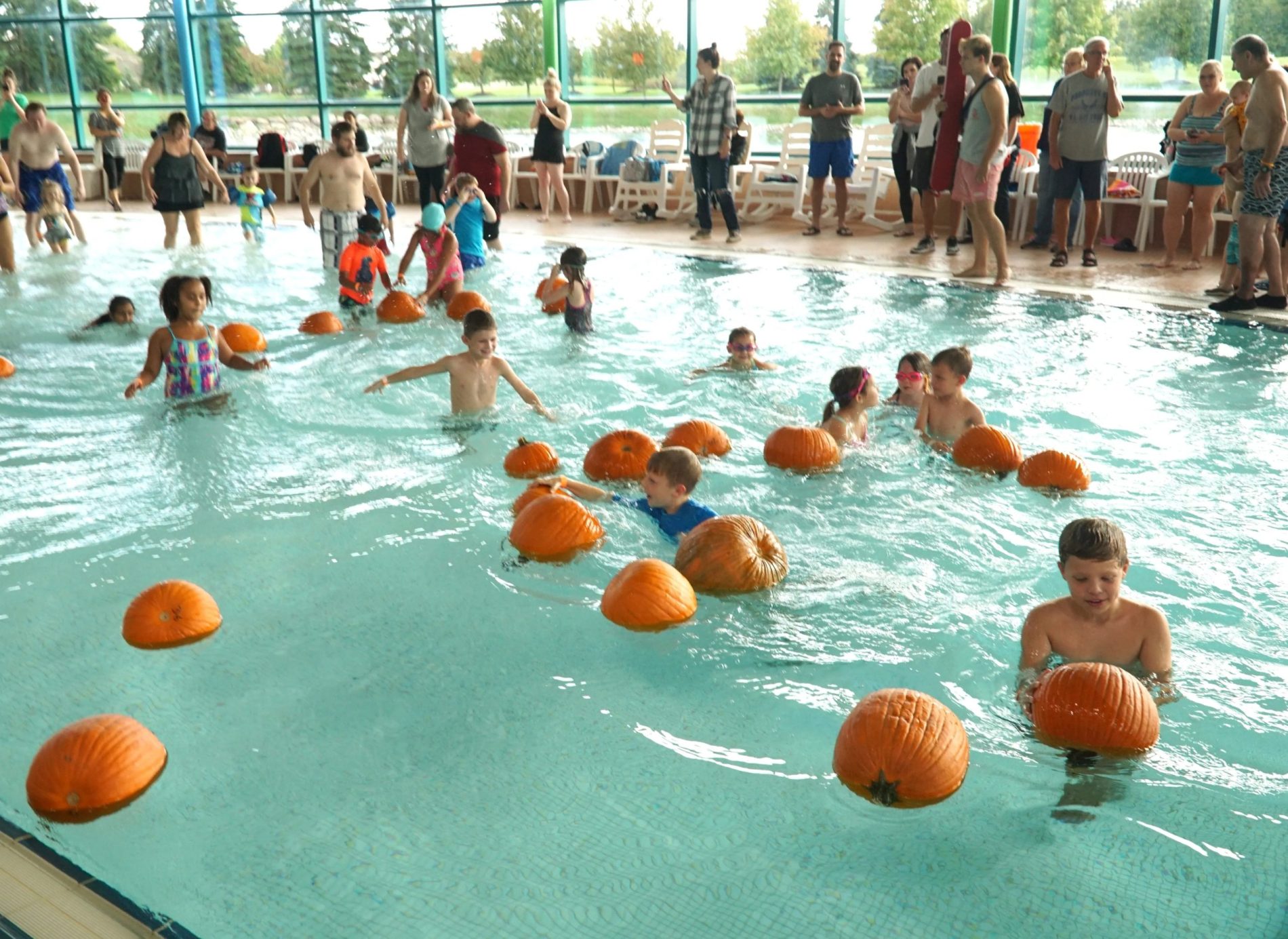 Swim and Pick: Canton's Underwater Pumpkin Patch 2024