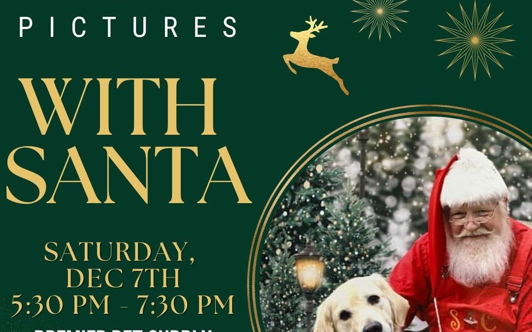 Festive Pet Photos With Santa in Canton: A Tail-Wagging Holiday Tradition