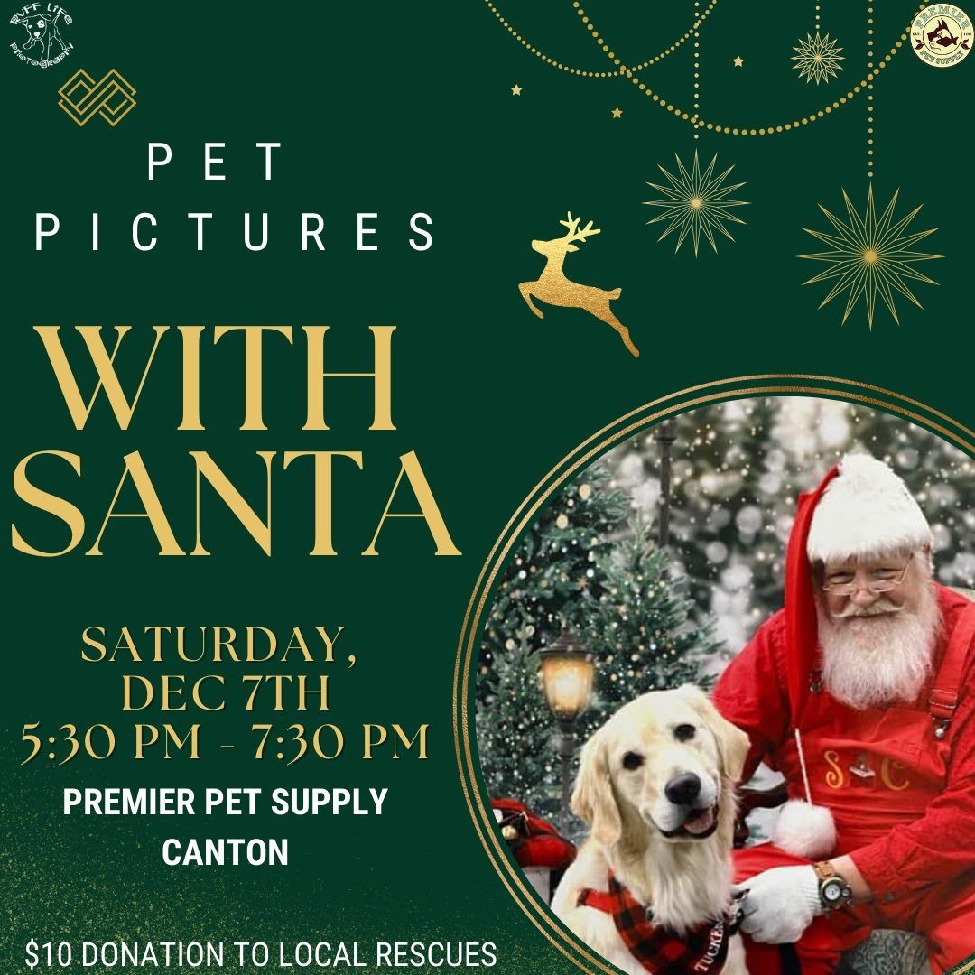 Festive Pet Photos with Santa in Canton: A Tail-Wagging Holiday Tradition